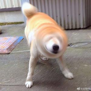 羽田あい破解版高清
